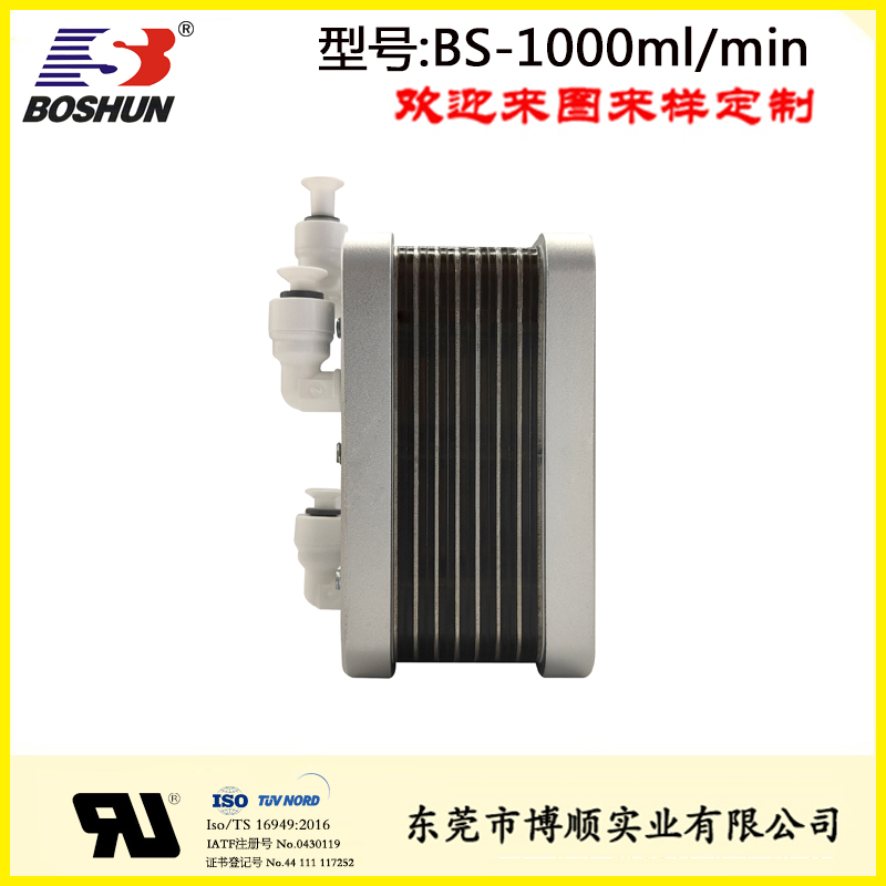 BS-1000ml/minPEM水电解