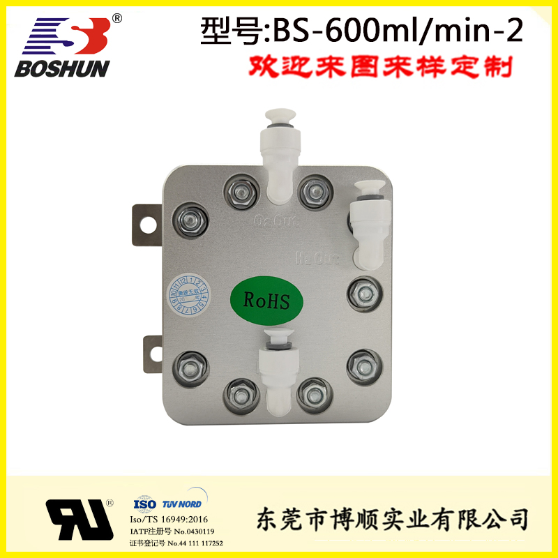 BS-600ml/min PEM水电解双出